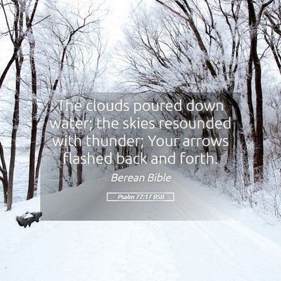 Picture 05 - Psalm 77:17 BSB - The clouds poured down water; the skies resounded - Bible Verse Picture