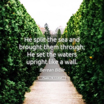 Picture 05 - Psalm 78:13 BSB - He split the sea and brought them through; He set - Bible Verse Picture