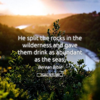 Picture 05 - Psalm 78:15 BSB - He split the rocks in the wilderness and gave - Bible Verse Picture