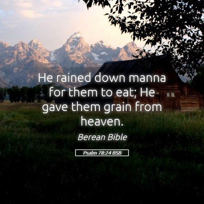 Picture 05 - Psalm 78:24 BSB - He rained down manna for them to eat; He gave - Bible Verse Picture