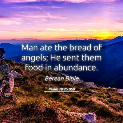 Picture 05 - Psalm 78:25 BSB - Man ate the bread of angels; He sent them food in - Bible Verse Picture