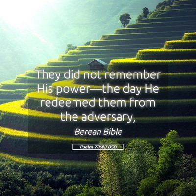 Picture 05 - Psalm 78:42 BSB - They did not remember His power—the day He - Bible Verse Picture