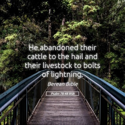 Picture 05 - Psalm 78:48 BSB - He abandoned their cattle to the hail and their - Bible Verse Picture