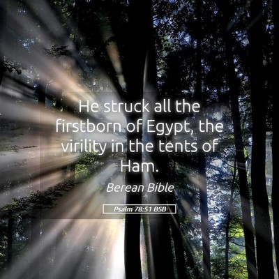 Picture 05 - Psalm 78:51 BSB - He struck all the firstborn of Egypt, the - Bible Verse Picture