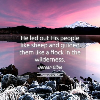 Picture 05 - Psalm 78:52 BSB - He led out His people like sheep and guided them - Bible Verse Picture