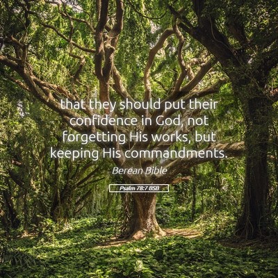 Picture 05 - Psalm 78:7 BSB - that they should put their confidence in God, not - Bible Verse Picture