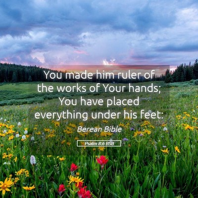 Picture 05 - Psalm 8:6 BSB - You made him ruler of the works of Your hands; - Bible Verse Picture