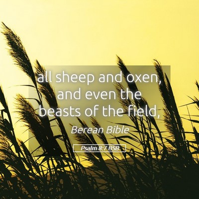 Picture 05 - Psalm 8:7 BSB - all sheep and oxen, and even the beasts of the - Bible Verse Picture