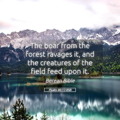 Picture 05 - Psalm 80:13 BSB - The boar from the forest ravages it, and the - Bible Verse Picture