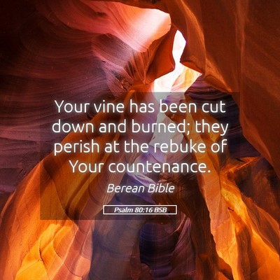Picture 05 - Psalm 80:16 BSB - Your vine has been cut down and burned; they - Bible Verse Picture