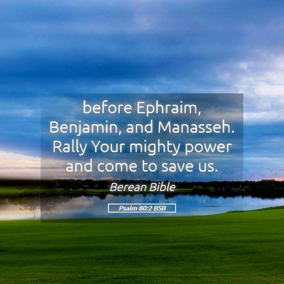 Picture 05 - Psalm 80:2 BSB - before Ephraim, Benjamin, and Manasseh. Rally - Bible Verse Picture
