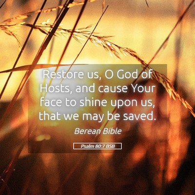 Picture 05 - Psalm 80:7 BSB - Restore us, O God of Hosts, and cause Your face - Bible Verse Picture