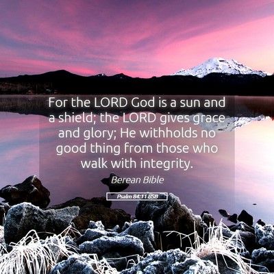 Picture 05 - Psalm 84:11 BSB - For the LORD God is a sun and a shield; the LORD - Bible Verse Picture