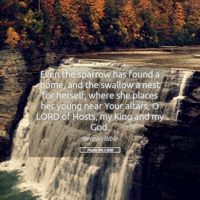 Picture 05 - Psalm 84:3 BSB - Even the sparrow has found a home, and the - Bible Verse Picture