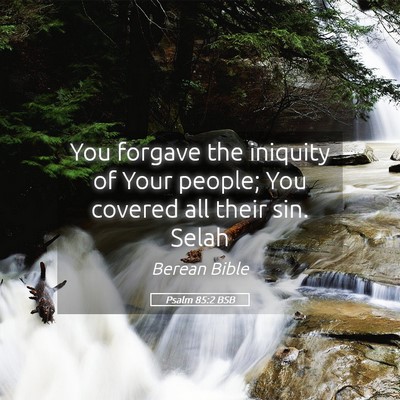 Picture 05 - Psalm 85:2 BSB - You forgave the iniquity of Your people; You - Bible Verse Picture