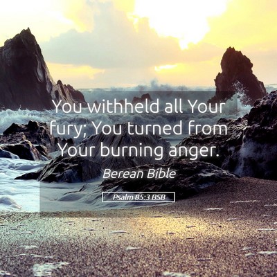 Picture 05 - Psalm 85:3 BSB - You withheld all Your fury; You turned from Your - Bible Verse Picture