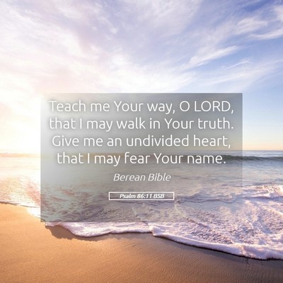 Picture 05 - Psalm 86:11 BSB - Teach me Your way, O LORD, that I may walk in - Bible Verse Picture