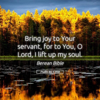 Picture 05 - Psalm 86:4 BSB - Bring joy to Your servant, for to You, O Lord, I - Bible Verse Picture