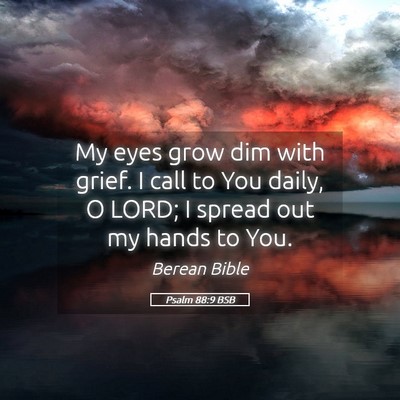 Picture 05 - Psalm 88:9 BSB - My eyes grow dim with grief. I call to You daily, - Bible Verse Picture