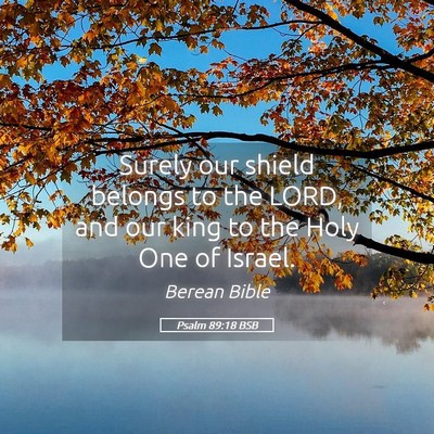 Picture 05 - Psalm 89:18 BSB - Surely our shield belongs to the LORD, and our - Bible Verse Picture