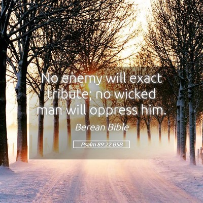 Picture 05 - Psalm 89:22 BSB - No enemy will exact tribute; no wicked man will - Bible Verse Picture