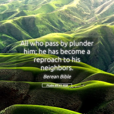 Picture 05 - Psalm 89:41 BSB - All who pass by plunder him; he has become a - Bible Verse Picture