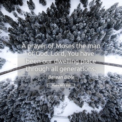 Picture 05 - Psalm 90:1 BSB - A prayer of Moses the man of God. Lord, You have - Bible Verse Picture
