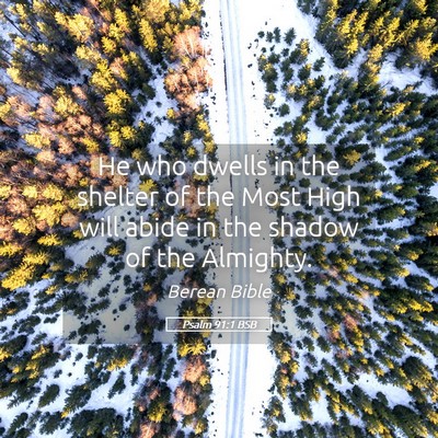 Picture 05 - Psalm 91:1 BSB - He who dwells in the shelter of the Most High - Bible Verse Picture