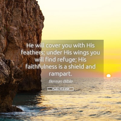 Picture 05 - Psalm 91:4 BSB - He will cover you with His feathers; under His - Bible Verse Picture
