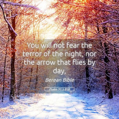 Picture 05 - Psalm 91:5 BSB - You will not fear the terror of the night, nor - Bible Verse Picture