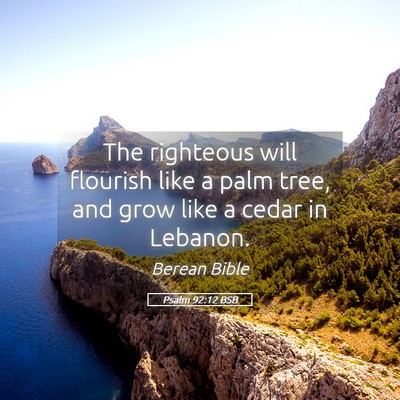 Picture 05 - Psalm 92:12 BSB - The righteous will flourish like a palm tree, and - Bible Verse Picture