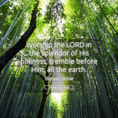 Picture 05 - Psalm 96:9 BSB - Worship the LORD in the splendor of His holiness; - Bible Verse Picture