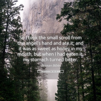 Picture 05 - Revelation 10:10 BSB - So I took the small scroll from the angel’s - Bible Verse Picture