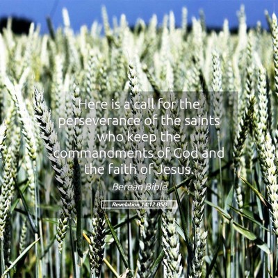 Picture 05 - Revelation 14:12 BSB - Here is a call for the perseverance of the saints - Bible Verse Picture