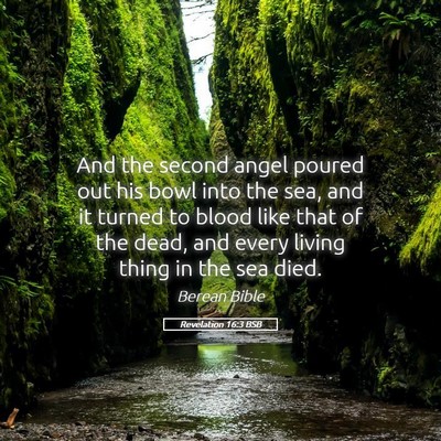 Picture 05 - Revelation 16:3 BSB - And the second angel poured out his bowl into the - Bible Verse Picture