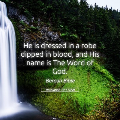 Picture 05 - Revelation 19:13 BSB - He is dressed in a robe dipped in blood, and His - Bible Verse Picture