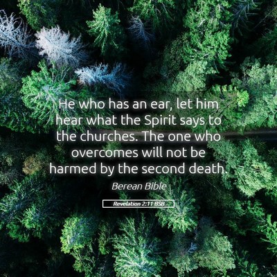 Picture 05 - Revelation 2:11 BSB - He who has an ear, let him hear what the Spirit - Bible Verse Picture