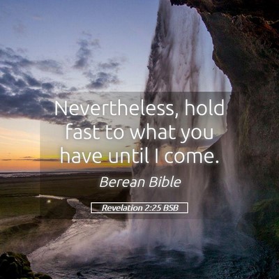 Picture 05 - Revelation 2:25 BSB - Nevertheless, hold fast to what you have until I - Bible Verse Picture