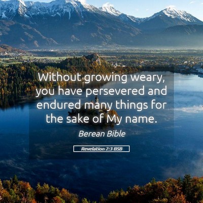 Picture 05 - Revelation 2:3 BSB - Without growing weary, you have persevered and - Bible Verse Picture