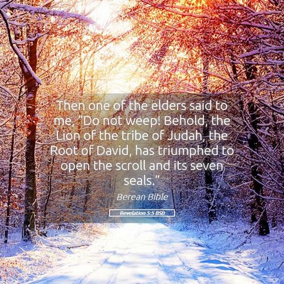 Picture 05 - Revelation 5:5 BSB - Then one of the elders said to me, “Do not - Bible Verse Picture