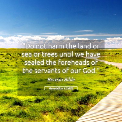 Picture 05 - Revelation 7:3 BSB - “Do not harm the land or sea or trees until we - Bible Verse Picture