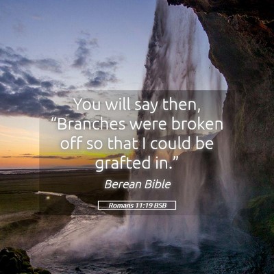 Picture 05 - Romans 11:19 BSB - You will say then, “Branches were broken off so - Bible Verse Picture