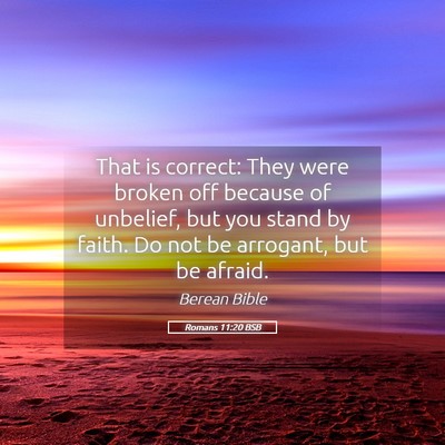 Picture 05 - Romans 11:20 BSB - That is correct: They were broken off because of - Bible Verse Picture