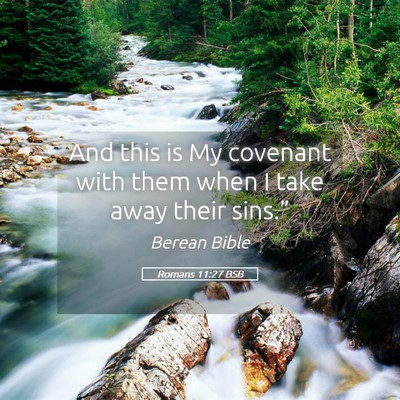 Picture 05 - Romans 11:27 BSB - And this is My covenant with them when I take - Bible Verse Picture