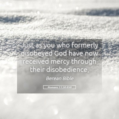 Picture 05 - Romans 11:30 BSB - Just as you who formerly disobeyed God have now - Bible Verse Picture