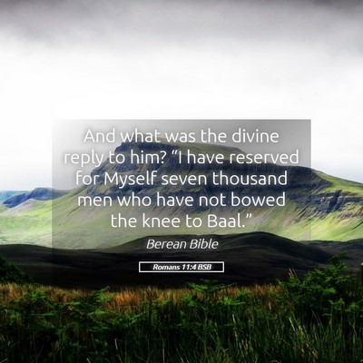 Picture 05 - Romans 11:4 BSB - And what was the divine reply to him? “I have - Bible Verse Picture