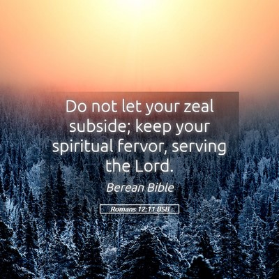 Picture 05 - Romans 12:11 BSB - Do not let your zeal subside; keep your spiritual - Bible Verse Picture