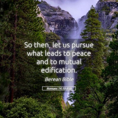 Picture 05 - Romans 14:19 BSB - So then, let us pursue what leads to peace and to - Bible Verse Picture