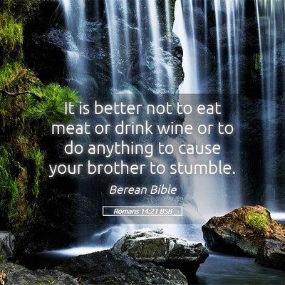 Picture 05 - Romans 14:21 BSB - It is better not to eat meat or drink wine or to - Bible Verse Picture