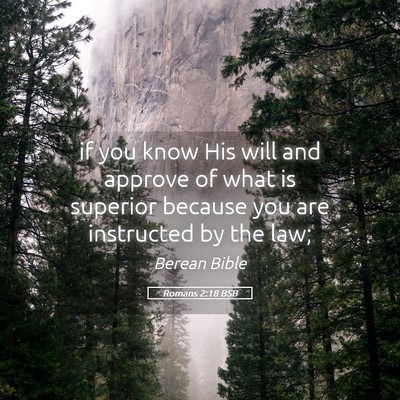 Picture 05 - Romans 2:18 BSB - if you know His will and approve of what is - Bible Verse Picture